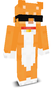 likeloiras's skin