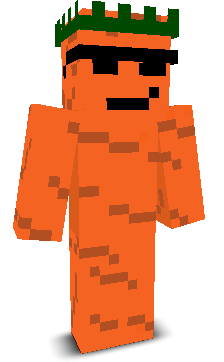 REALCARR0T1's skin