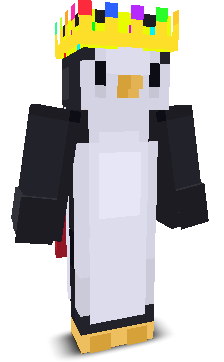 tnt_nighty's skin