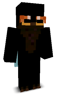 sonni_cpvp's skin