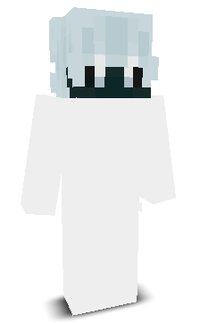 SafeYard's skin