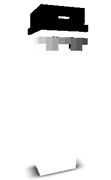 SST691's skin
