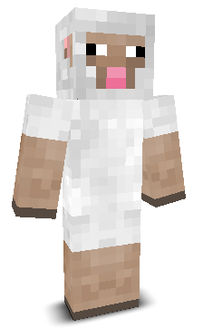 Ash737_'s skin
