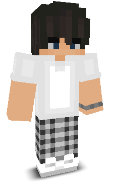 ludde_nice's skin