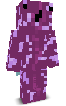 Solvetion's skin