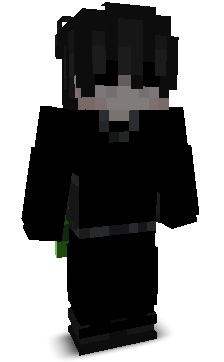 NinjaPo123's skin
