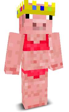 ChikenOnaMission's skin