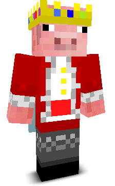 emreminicraft's skin