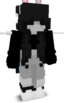 dixgoo's skin