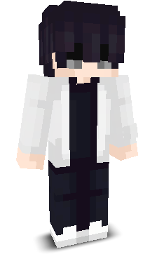 ZIENT's skin