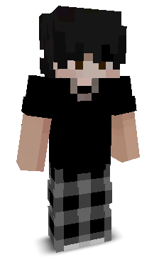 Pheonixfr's skin