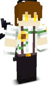 808H's skin