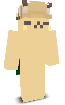 TheL0calAsh's skin