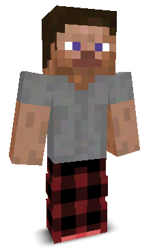 voxeLRI's skin