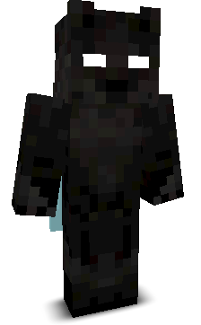 blockprofile's skin