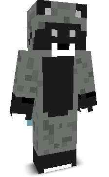 CoolKidRacoon's skin