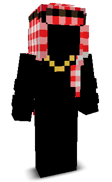 lampa_gg's skin
