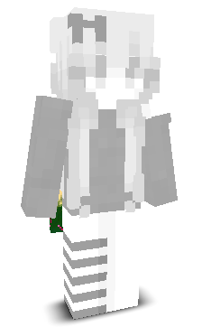 842k's skin