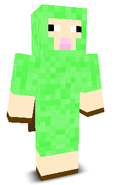 NapiXGaming's skin