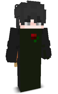 Spaidify's skin