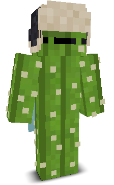 icactuss's skin