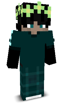 iRushSplash's skin