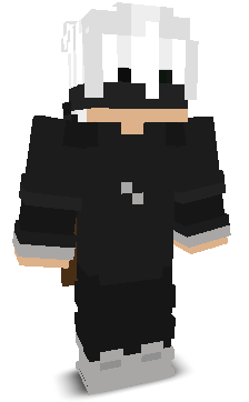 TechFlightMC's skin