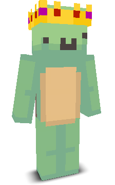 NOOB_RG's skin
