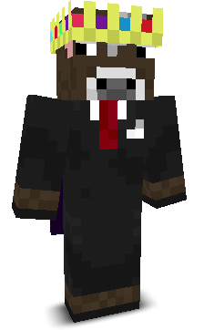 Maxcoolboy's skin