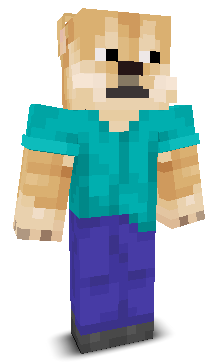 xSupremacy's skin