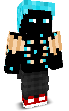 WardenBoy311's skin