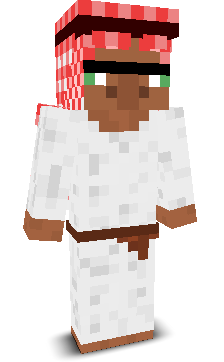 guesswhat_33's skin