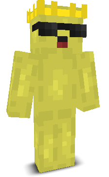 KiwiDashMC's skin