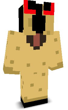 agent_txnk's skin