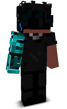 Po1arixx's skin