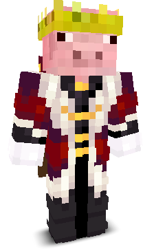 Patrik_Vk's skin