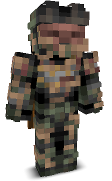 Sir_Baldur12's skin