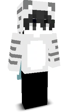 puzzlements's skin
