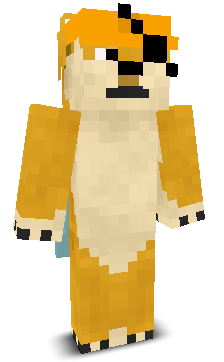 Doge_z_Karibiku's skin