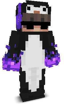 ItzP1ngu__'s skin