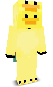 HHSU's skin