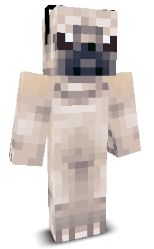 kapibetonzakkie's skin