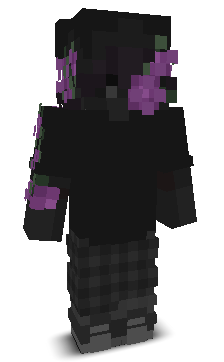 MNLESAS's skin