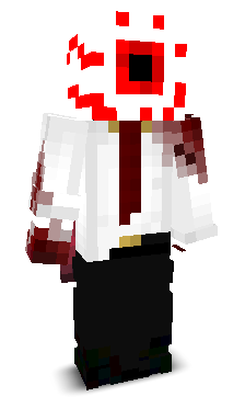 bloxm's skin