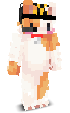 InvisaCat's skin