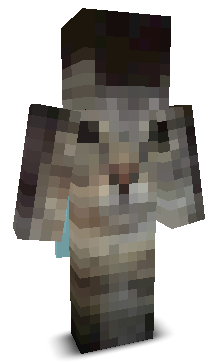 c3llmedad's skin