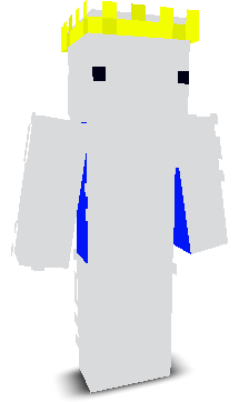 CVSWG's skin