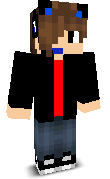 SolanaUSD's skin