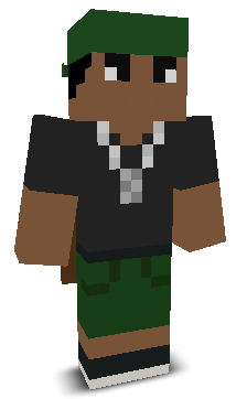 REV_ENGE's skin