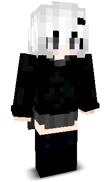 northsign's skin